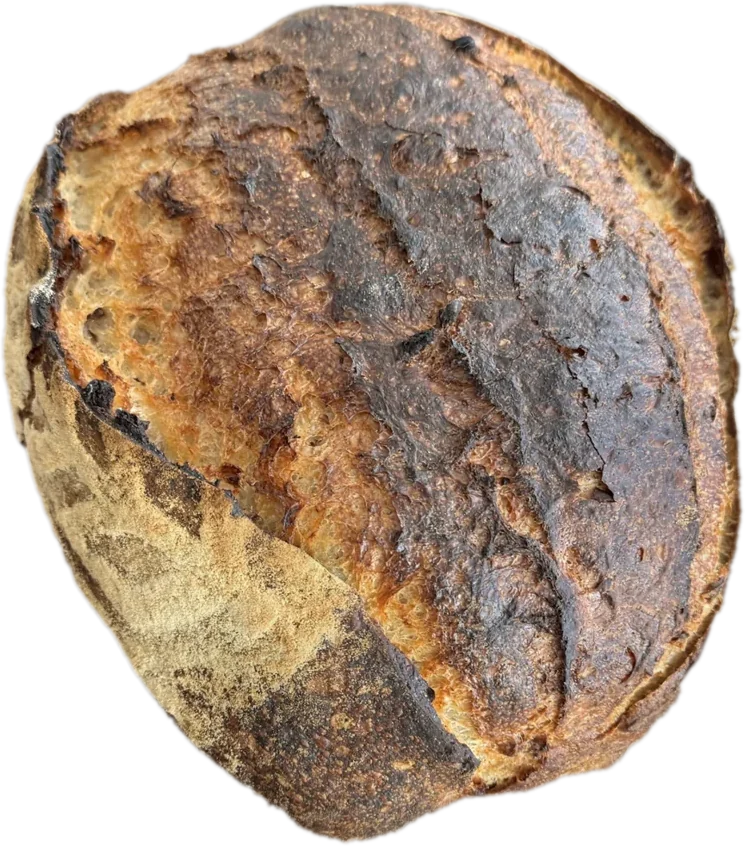 Sauerteigbrot mit dunkler, aufgerissener Kruste