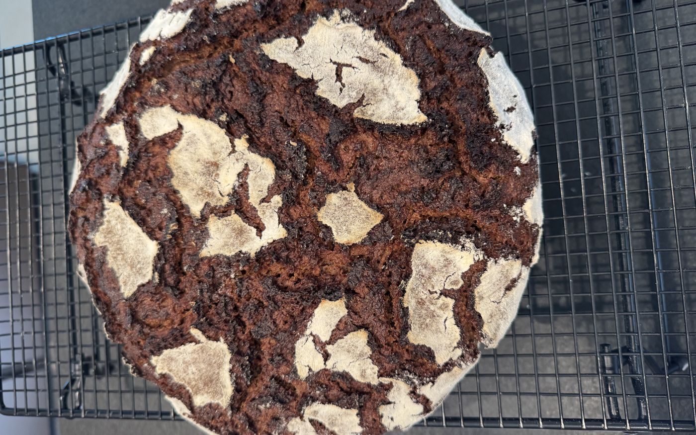 Dunkles Roggenbrot mit bemehlter, rissiger Kruste